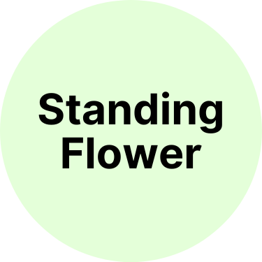 Standing Flower